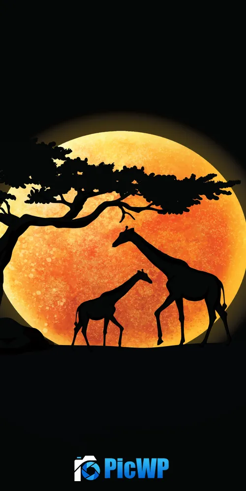 Giraffe Silhouette 3K Mobile Wallpaper