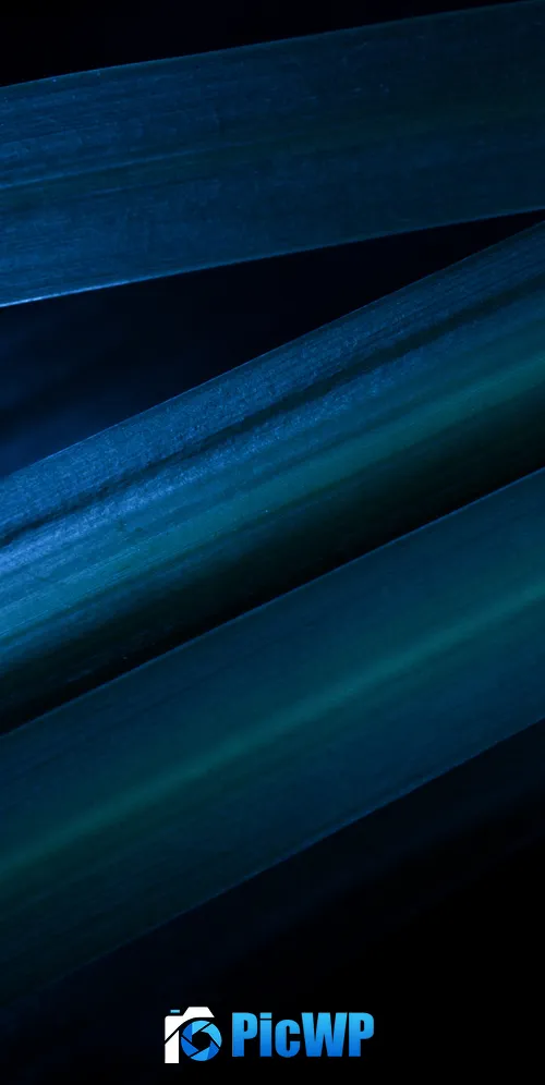 Leaves Blue aesthetic 3K Mobile Wallpaper