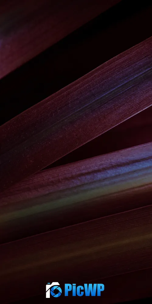 Red leaves Aesthetic 3K Mobile Wallpaper