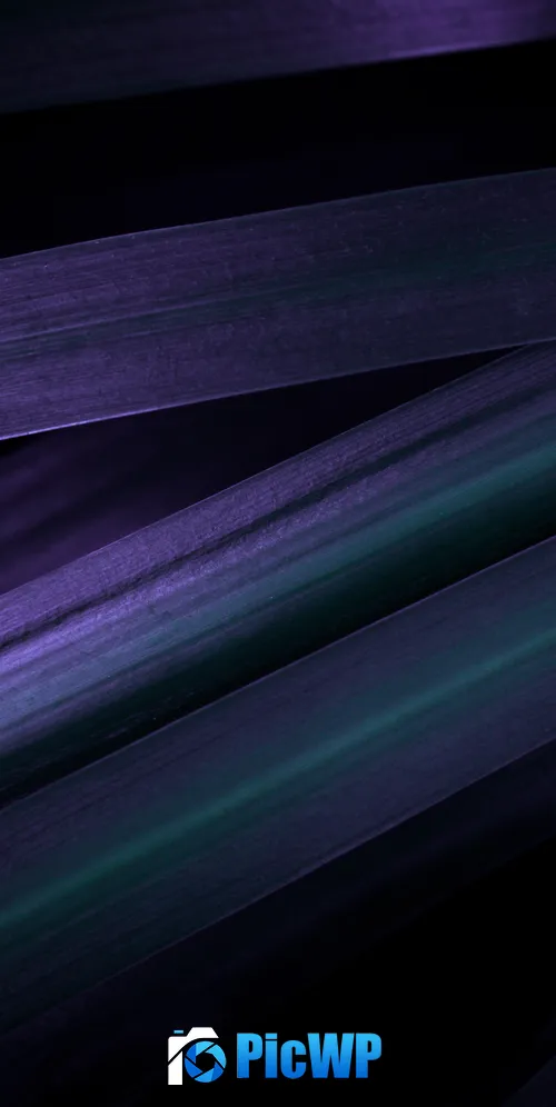 Purple leaves Macro 3K Mobile Wallpaper
