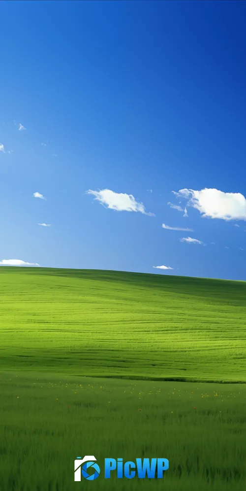 Windows XP Default 3K Mobile Wallpaper