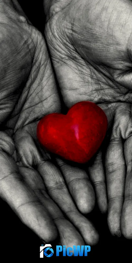 Red heart Holding hands 3K Mobile Wallpaper