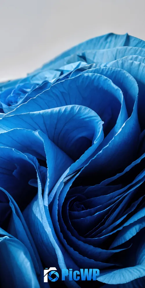 Windows 11 Paper Art 3K Mobile Wallpaper