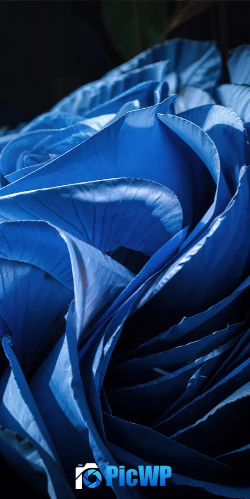 Windows 11 Bloom AI art Dark Theme 3K Mobile Wallpaper