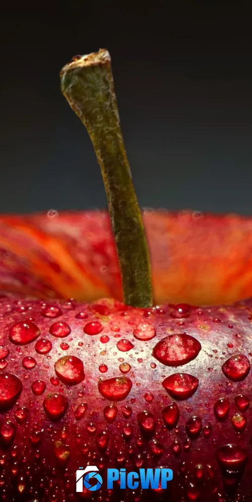 Apple Macro 3K Mobile Wallpaper