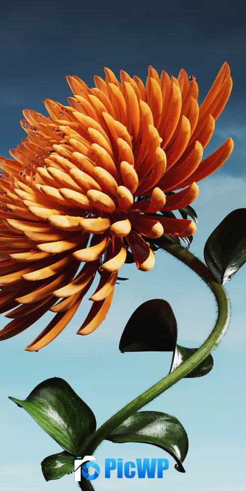 Orange flower Bloom 3K Mobile Wallpaper