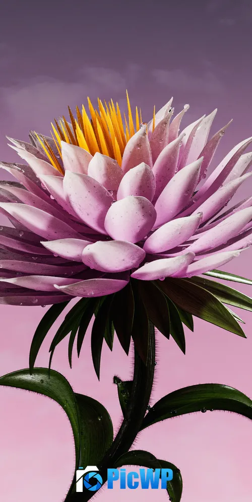 Purple Flower Bloom 3K Mobile Wallpaper