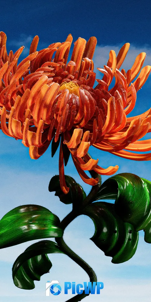 Orange flower Blue Sky 3K Mobile Wallpaper
