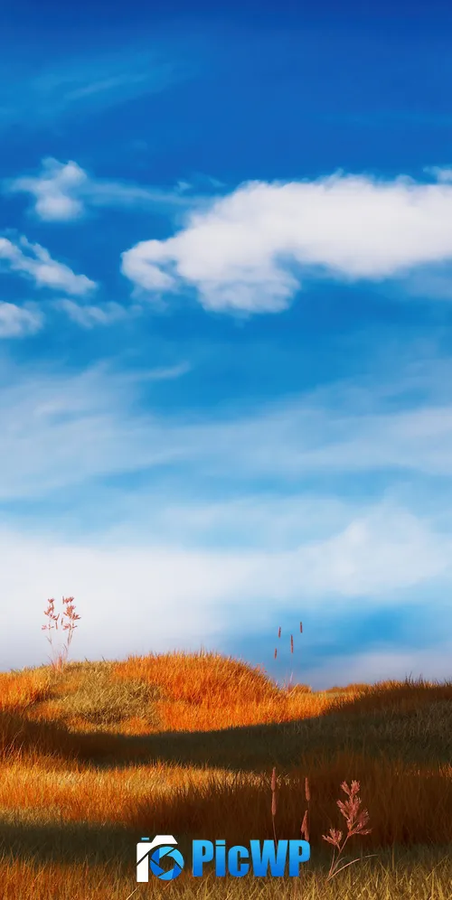 Grass field Serene 3K Mobile Wallpaper