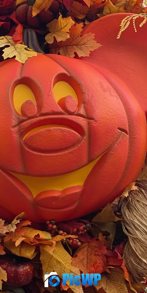 Mickey Mouse Pumpkin 3K Mobile Wallpaper