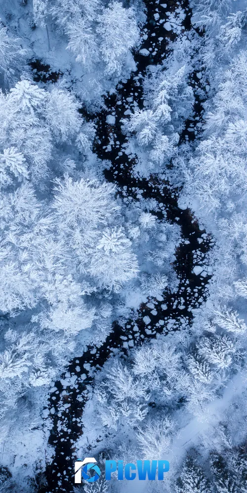 Snow covered winter forest aerial view 3K Mobile Wallpaper