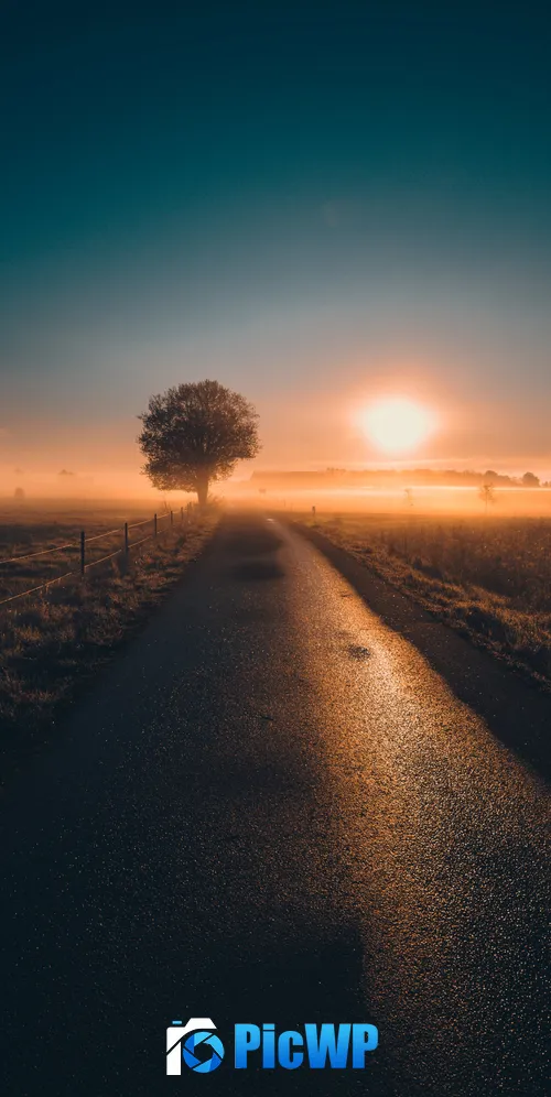 Sunrise Sweden 3K Mobile Wallpaper