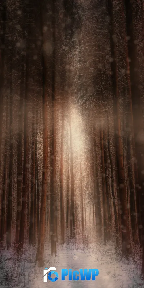 Winter forest Sunlight 3K Mobile Wallpaper