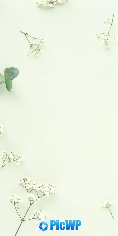 Eucalyptus Leaves 3K Mobile Wallpaper