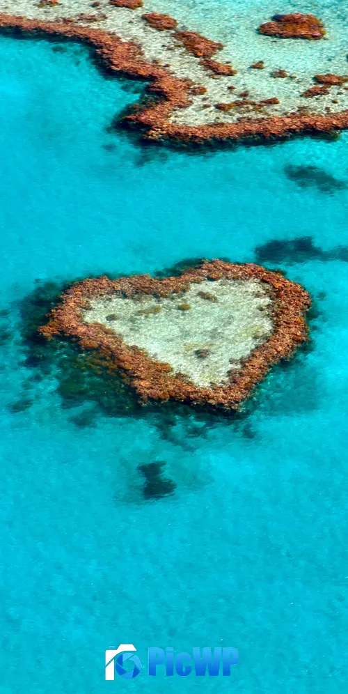 Love heart Heart Reef 3K Mobile Wallpaper