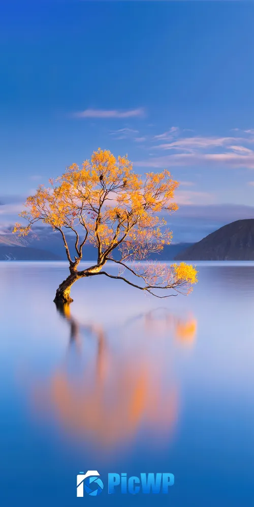 Lake Wanaka New Zealand 3K Mobile Wallpaper