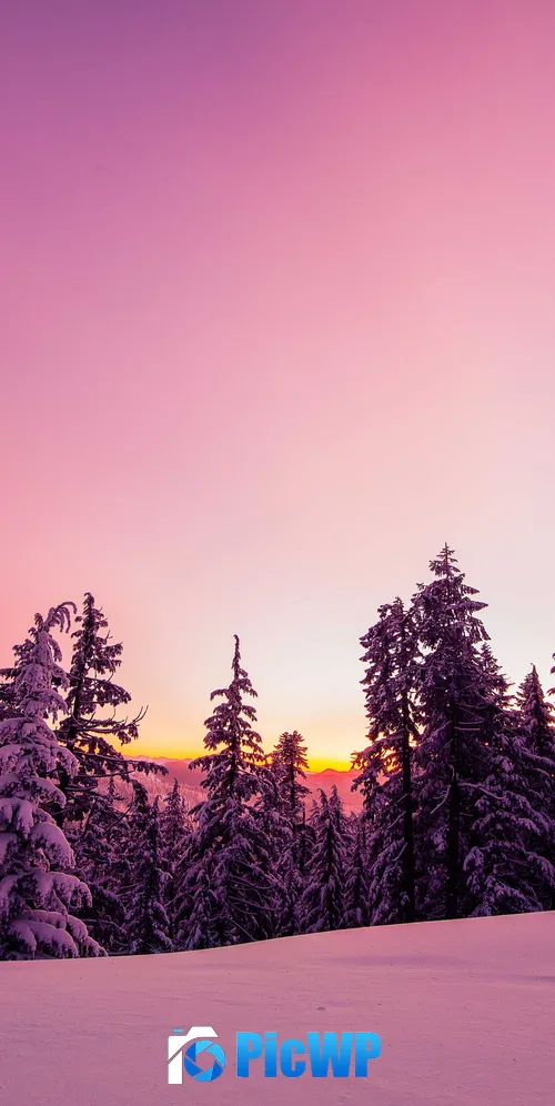 Winter Forest 3K Mobile Wallpaper
