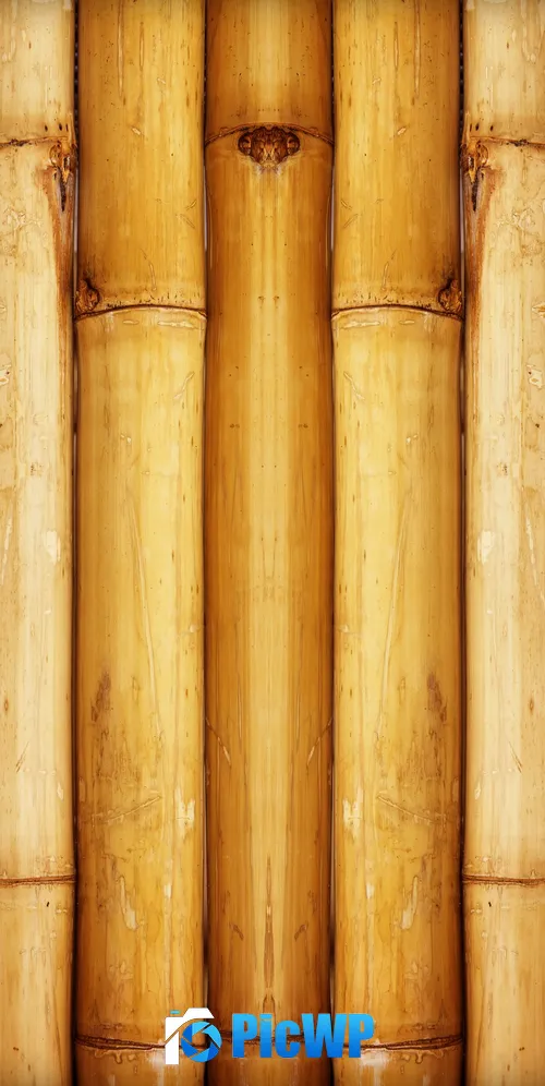 Bamboo Wall 3K Mobile Wallpaper
