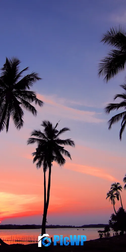 Palm trees Sunset 3K Mobile Wallpaper