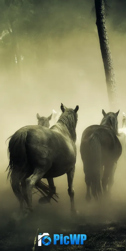 Horses Herd 3K Mobile Wallpaper