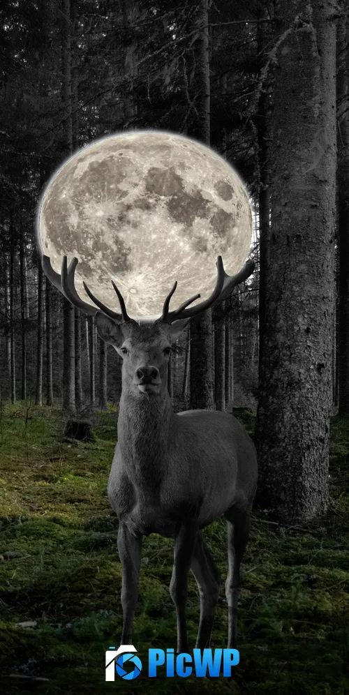 Deer Moon 3K Mobile Wallpaper