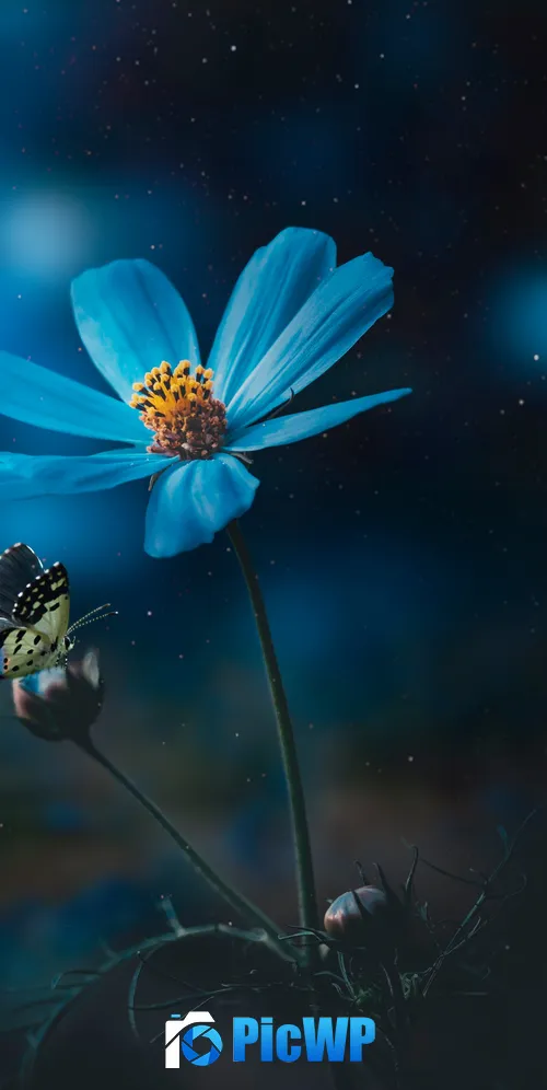Blue flower Pollination 3K Mobile Wallpaper