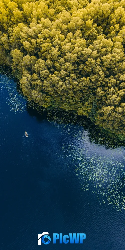 Green Forest Trees 3K Mobile Wallpaper