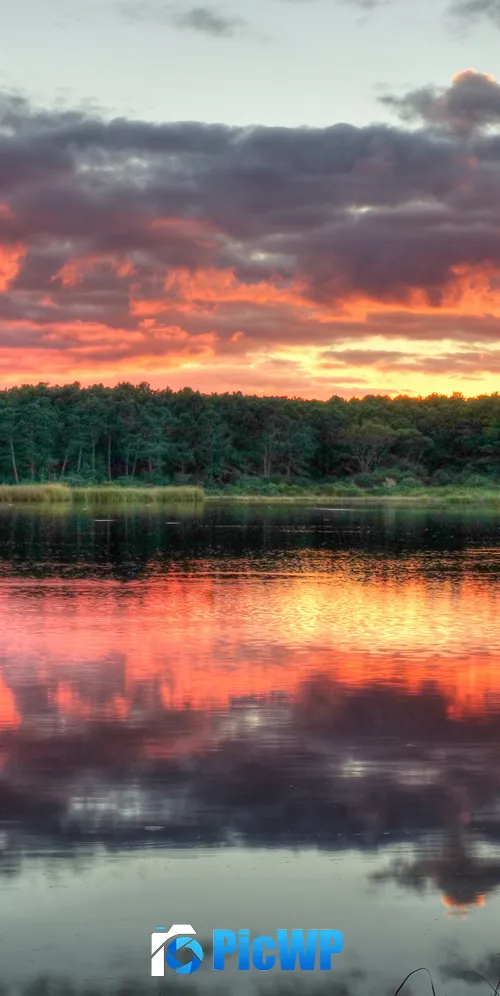 Huntington Beach State Park North Carolina 3K Mobile Wallpaper