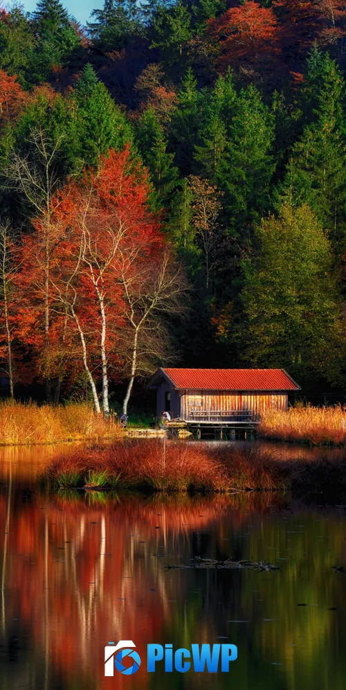 Autumn Scenery Lakeside 3K Mobile Wallpaper