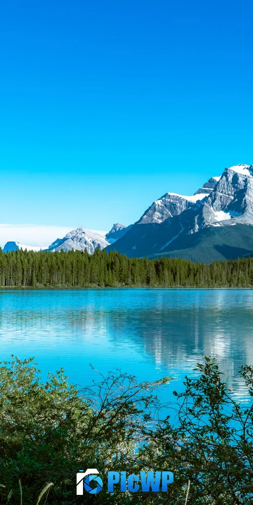 Bow Lake Canada 3K Mobile Wallpaper