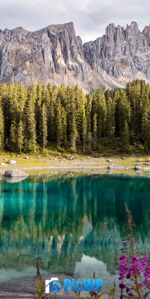 Lake Carezza Italy 3K Mobile Wallpaper