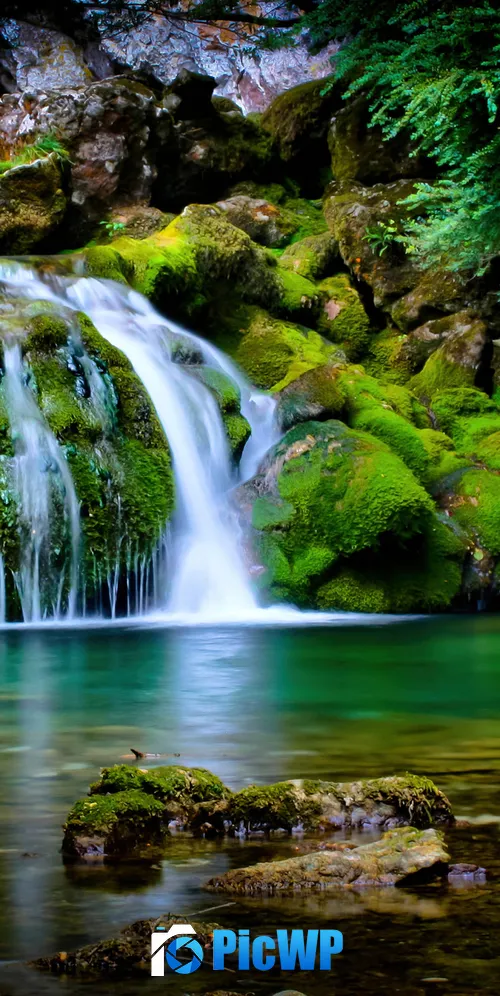 Tropical forest Waterfall 3K Mobile Wallpaper