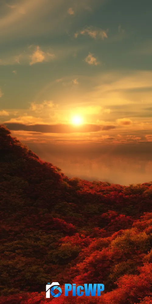 Red Trees Sunrise 3K Mobile Wallpaper