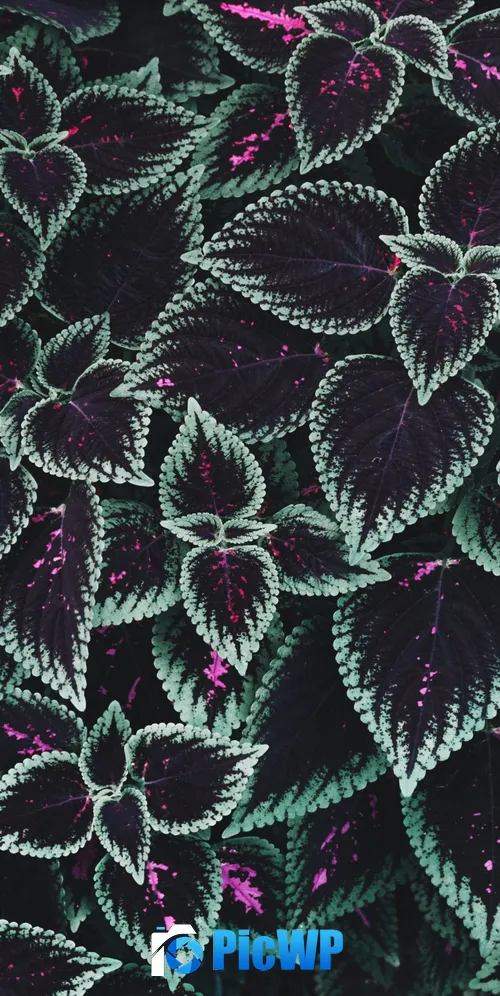 Leaf Background Texture 3K Mobile Wallpaper