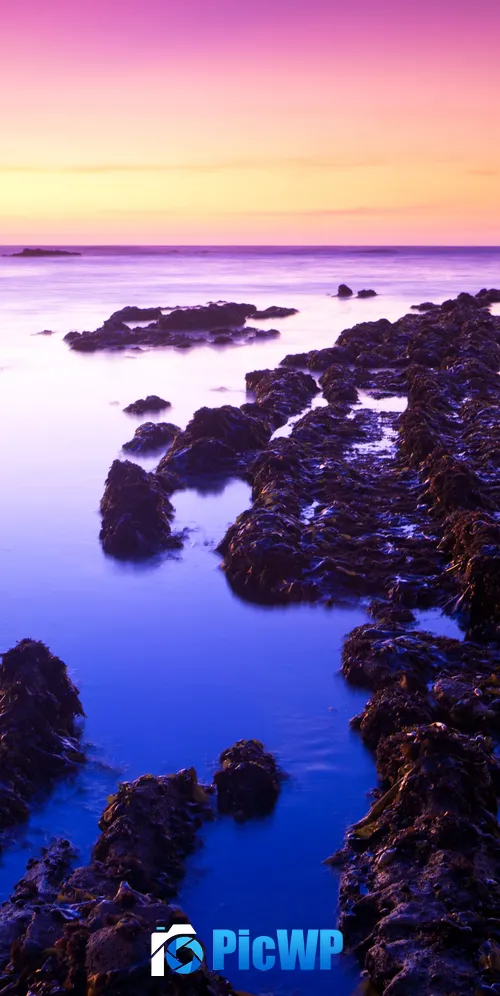 Fitzgerald marine reserve Sunset 3K Mobile Wallpaper