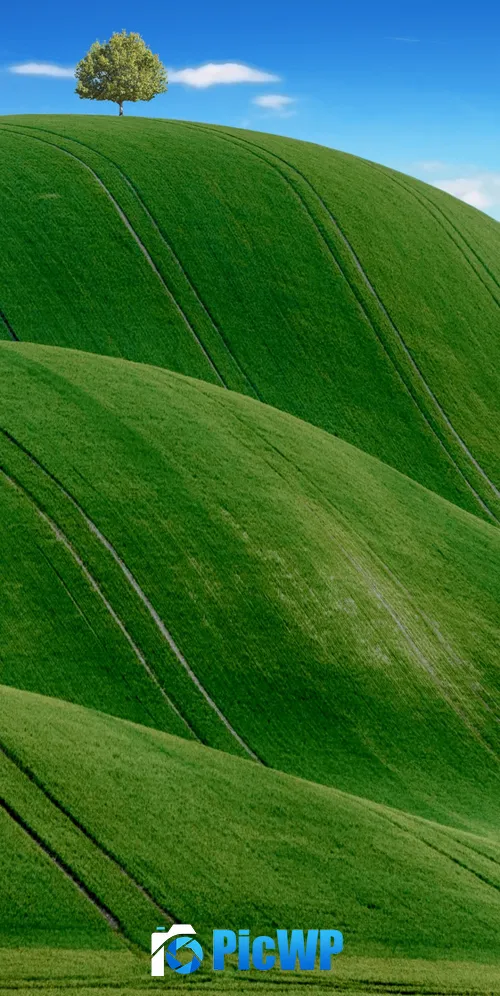 Green Meadow Countryside 3K Mobile Wallpaper