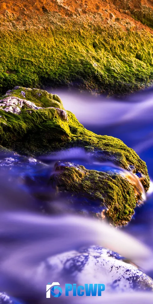Green Moss Water Stream 3K Mobile Wallpaper