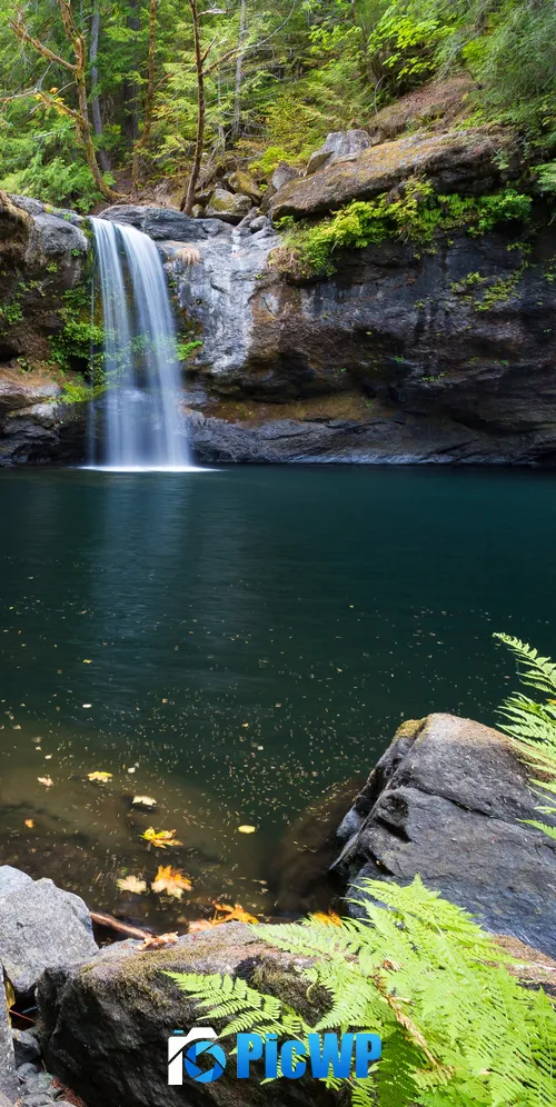 Coquille River Falls Oregon 3K Mobile Wallpaper