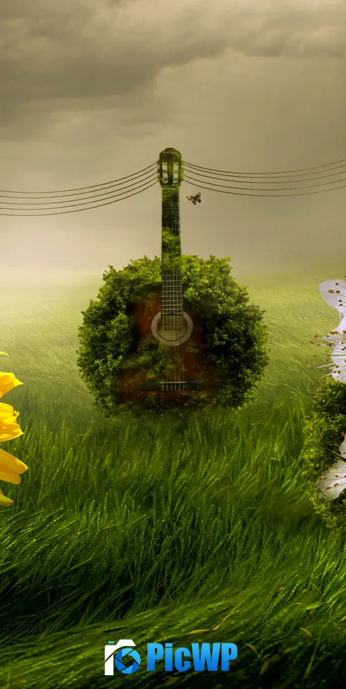 Guitars Green Grass 3K Mobile Wallpaper