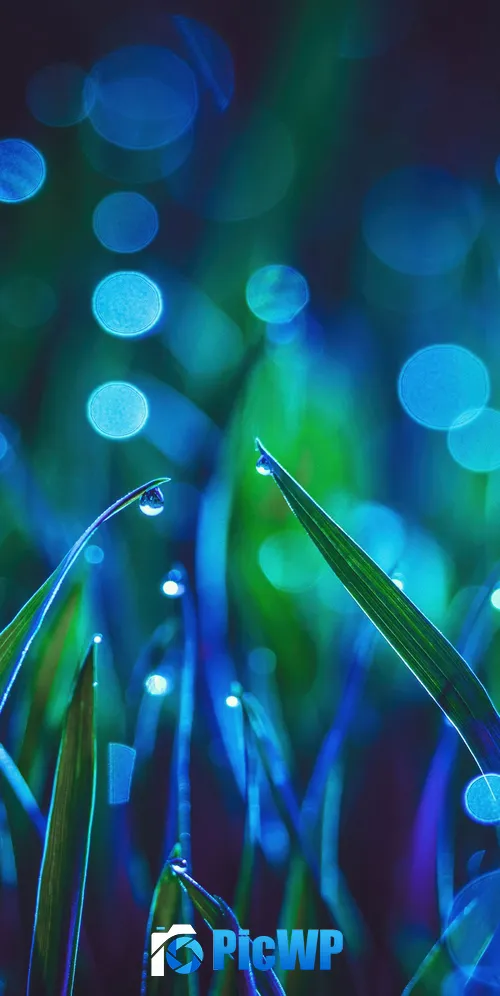 Landscape Grass 3K Mobile Wallpaper