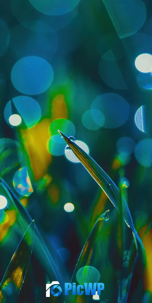 Grass Aesthetic 3K Mobile Wallpaper