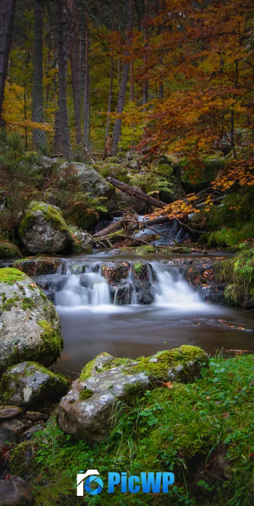 Waterfall Autumn 3K Mobile Wallpaper