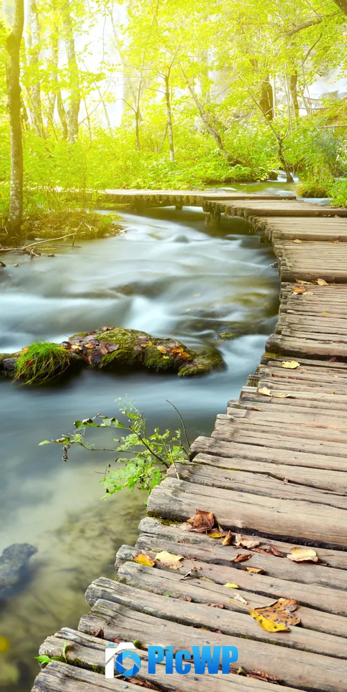 Wooden pier Forest 3K Mobile Wallpaper
