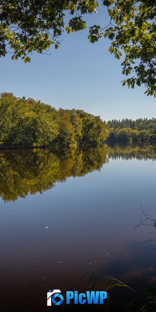 Androscoggin River Trees 3K Mobile Wallpaper