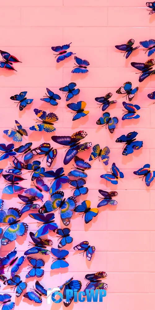 Blue butterfly Pink background 3K Mobile Wallpaper