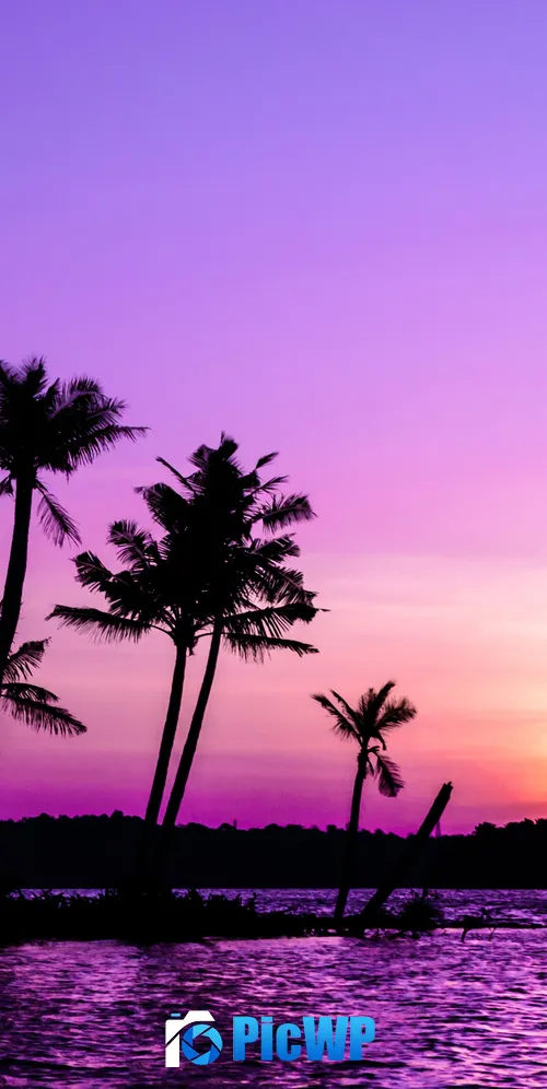 Purple Sunrise Clear sky 3K Mobile Wallpaper