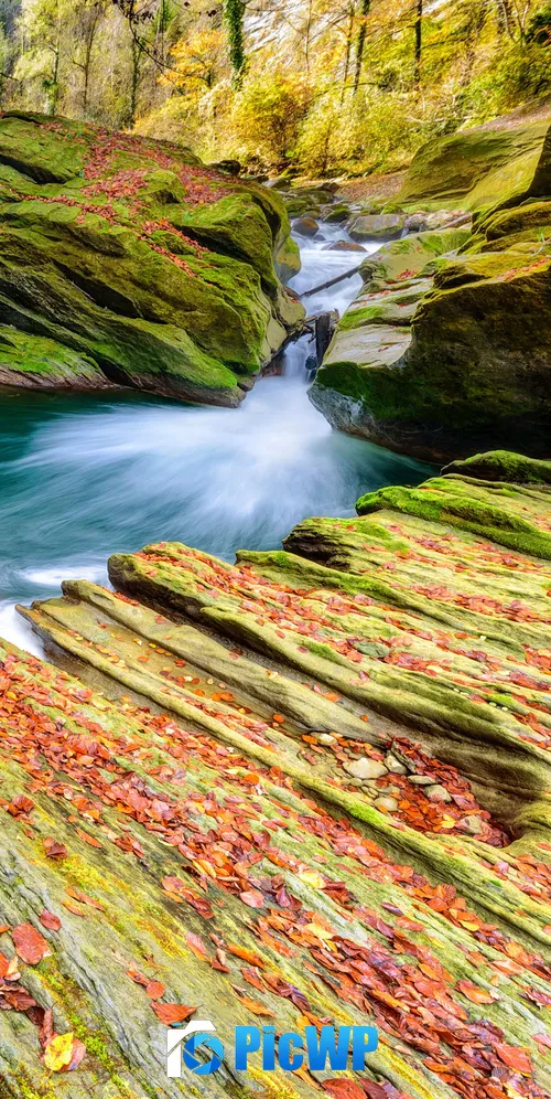 River Autumn 3K Mobile Wallpaper