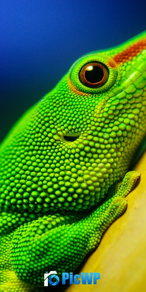 Green Lizard Closeup 3K Mobile Wallpaper