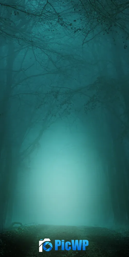 Morning Forest 3K Mobile Wallpaper