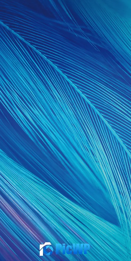Feathers CGI 3K Mobile Wallpaper
